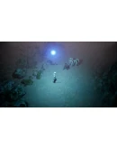 Planet Iridium АВТОДОСТАВКА STEAM GIFT РОССИЯ