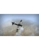 WarBirds - World War II Combat Aviation STEAM РОССИЯ