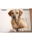 QualityScaler * STEAM РОССИЯ АВТОДОСТАВКА 0 КАРТЫ