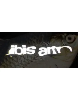 IBIS AM АВТОДОСТАВКА STEAM GIFT РОССИЯ