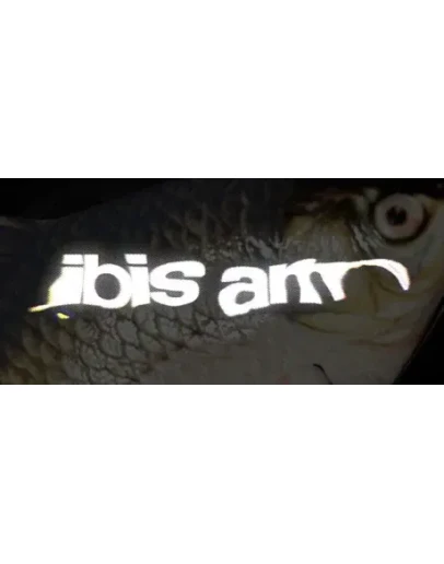 IBIS AM АВТОДОСТАВКА STEAM GIFT РОССИЯ