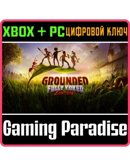 GROUNDEDXBOX ONE/XS+ПККЛЮЧ