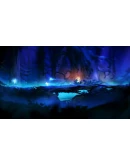 ORI AND THE BLIND FOREST: DEFINITIVE EDITIONXBOX КЛЮЧ