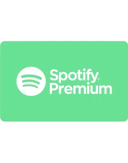 Spotify Premium 6/12 месяцев на ваш счет
