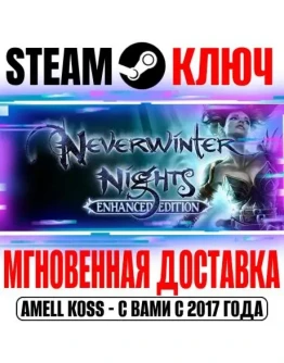 Neverwinter Nights: Enhanced Edition Steam Ключ РФ+Мир