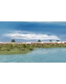 Trainz 2022 DLC - Pro Trainz TEE Rheingold