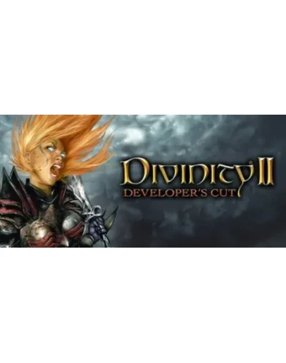 Divinity II Developer's Cut * STEAM RU АВТО 0