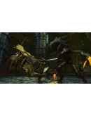 Divinity Anthology * STEAM RU АВТО 0