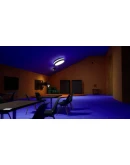 Garten of Banban 3 * STEAM RU АВТО 0