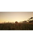 Animalia Survival * STEAM RU АВТО 0