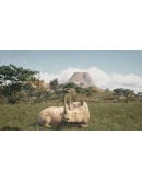 Animalia Survival * STEAM RU АВТО 0