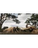 Animalia Survival * STEAM RU АВТО 0