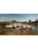 Animalia Skins Pack DLC * STEAM RU АВТО 0