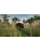 Animalia Skins Pack DLC * STEAM RU АВТО 0