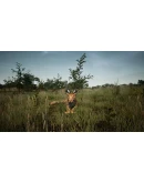 Animalia Survival EggHunt DLC * STEAM RU АВТО 0