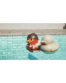 Placid Plastic Duck Simulator - Duck Addiction DLC