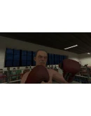 The Thrill of the Fight * STEAM RU АВТО 0