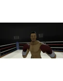 The Thrill of the Fight * STEAM RU АВТО 0