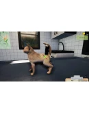 Animal Shelter - Puppies &amp Kittens DLC * STEAM RU