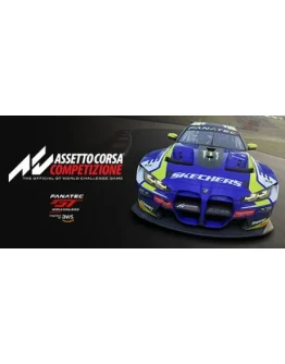 Assetto Corsa Competizione * STEAM RU АВТО 0