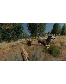 WolfQuest: Anniversary Edition * STEAM RU АВТО 0