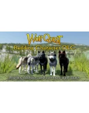 WolfQuest Anniversary - Building Character Pack DLC