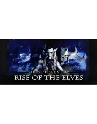 Disciples II: Rise of the Elves * STEAM RU АВТО 0