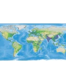 Dummynation * STEAM РОССИЯ АВТОДОСТАВКА 0 КАРТЫ