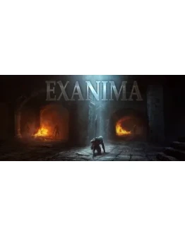 Exanima * STEAM РОССИЯ АВТОДОСТАВКА 0 КАРТЫ
