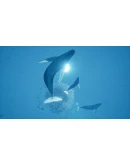 ABZU Steam Ключ РФ+Мир +Бонус