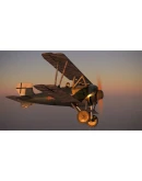 IL-2 Sturmovik: SSW D.IV Collector Plane DLC