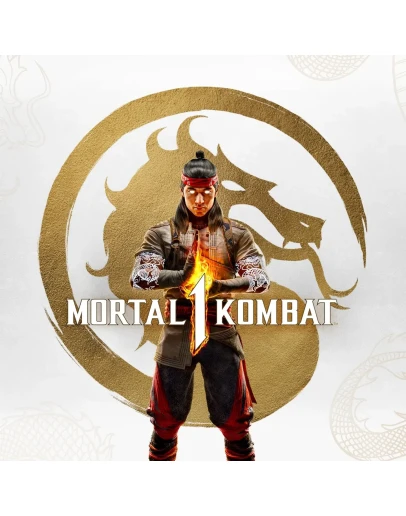 Mortal Kombat 1 Premium Steam Оффлайн Активация
