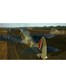 IL-2 Sturmovik: Spitfire Mk.XIVe with Teardrop Canopy