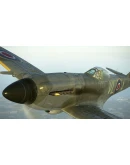 IL-2 Sturmovik: Spitfire Mk.XIVe with Teardrop Canopy
