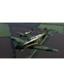 IL-2 Sturmovik: Steel Birds Campaign DLC * STEAM RU