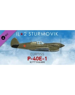 IL-2 Sturmovik: P-40E-1 Collector Plane DLC