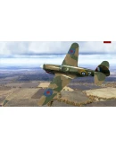 IL-2 Sturmovik: P-40E-1 Collector Plane DLC