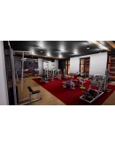 Hotel Renovator - Gym DLC * STEAM RU АВТО 0