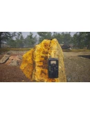 Dinosaur Fossil Hunter * STEAM RU АВТО 0