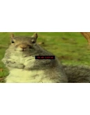 Squirrel Stapler АВТОДОСТАВКА STEAM GIFT РОССИЯ