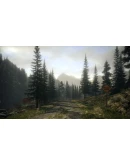 Alan Wake * STEAM РОССИЯ АВТОДОСТАВКА 0 КАРТЫ