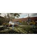 Troublemaker (Steam key / РФ+Весь Мир)