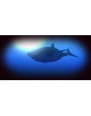 Feed and Grow: Fish * STEAM RU АВТО 0