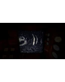 Iron Lung (Steam key / РФ+Весь Мир)