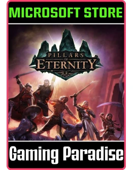 PILLARS OF ETERNITY: HERO EDITION(PC WIN)КЛЮЧ