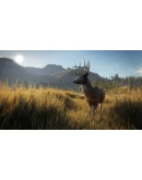 THEHUNTER: CALL OF THE WILDXBOX ONE/XSКЛЮЧ