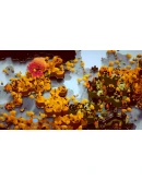 Land Above Sea Below * STEAM RU АВТО 0