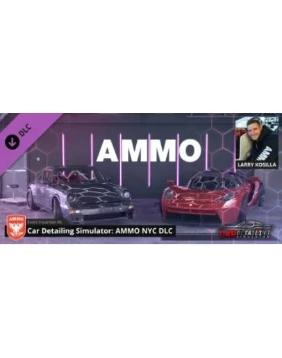 Car Detailing Simulator - AMMO NYC DLC * STEAM RU