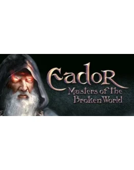 Eador: Masters of the Broken World * STEAM RU