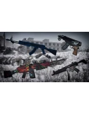 Survival: Supporter Pack DLC * STEAM RU АВТО 0